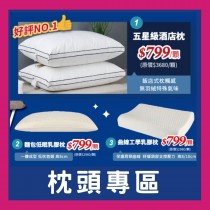 五星酒店枕 天絲頸椎枕 麵包枕枕 黑金石墨烯枕 工學乳膠枕
