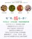 護理級天絲床包式加高保潔墊/二層【專利認證．Dintex100%防水．專業防螨．透濕透氣】